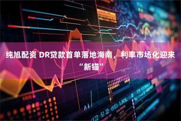 纯旭配资 DR贷款首单落地海南，利率市场化迎来“新锚”